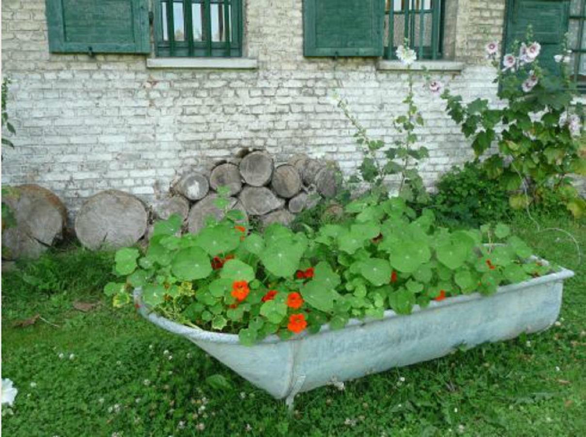 Manoir De Bois En Ardres Ngoại thất bức ảnh