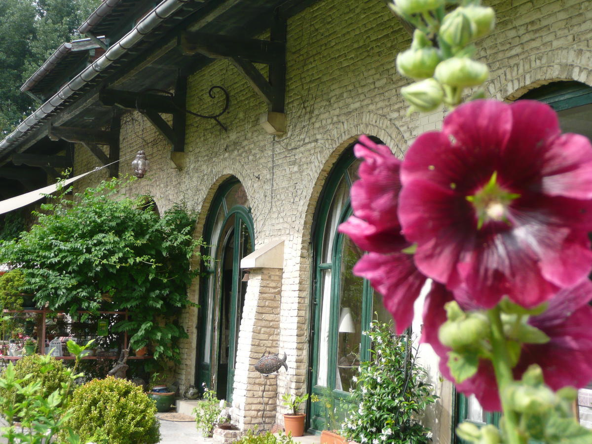 Manoir De Bois En Ardres Ngoại thất bức ảnh